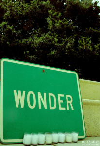 Dandelion_Wonderslow_Wonder_sign_Oakland